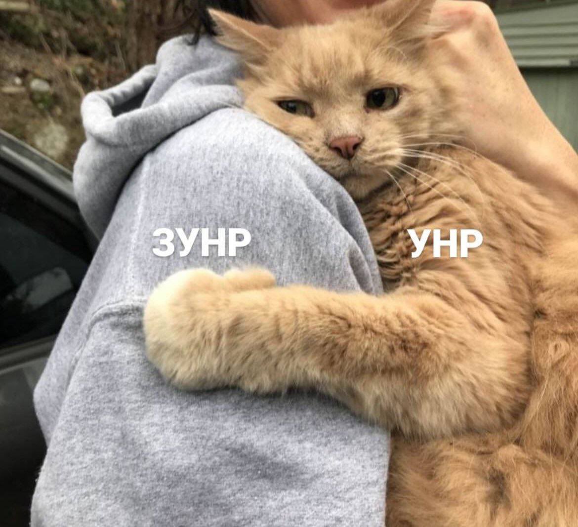 Сирок tweet media