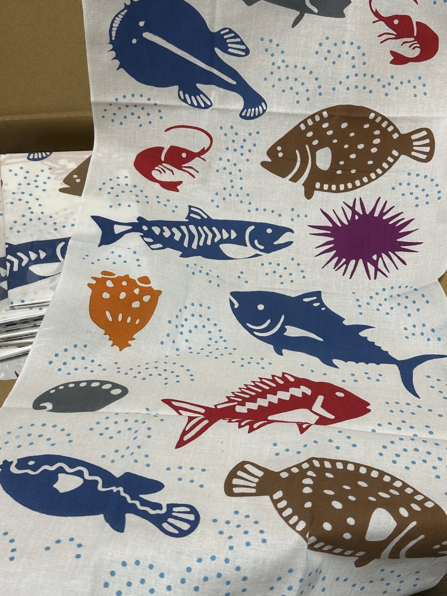 Naoko Tsunoda 避難所 tweet media