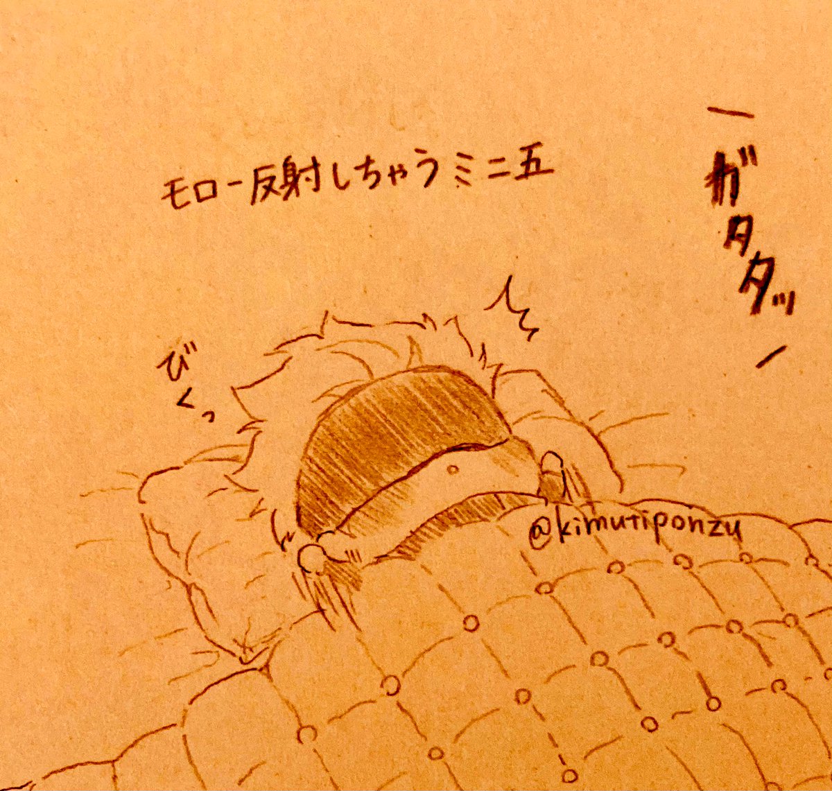 いろんなミニ5⃣チャン 