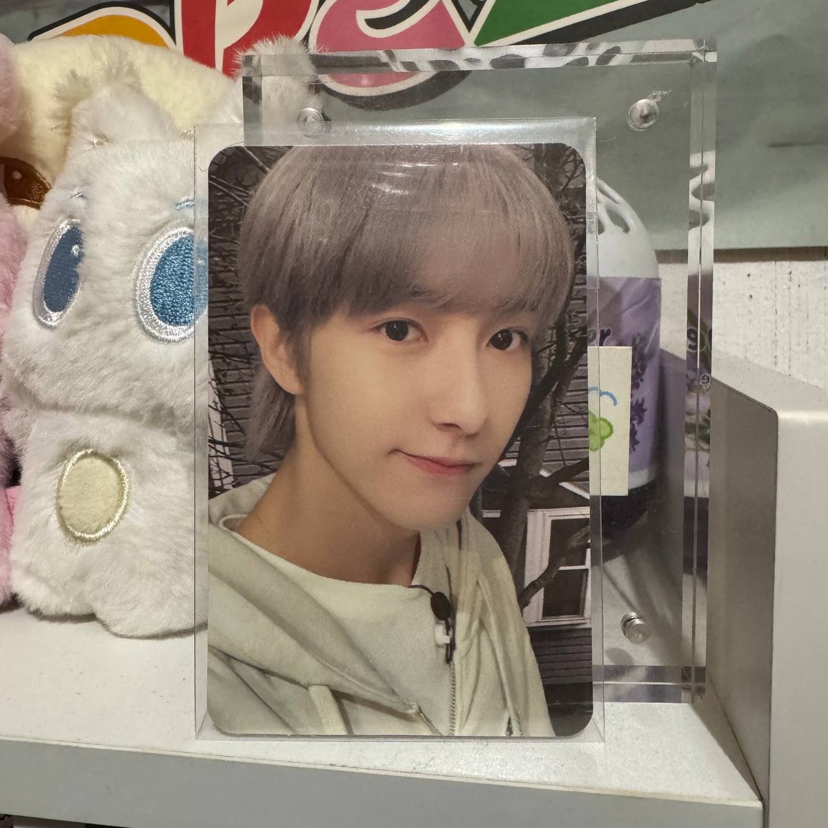 renjun boboan / tc agit istj

P 200