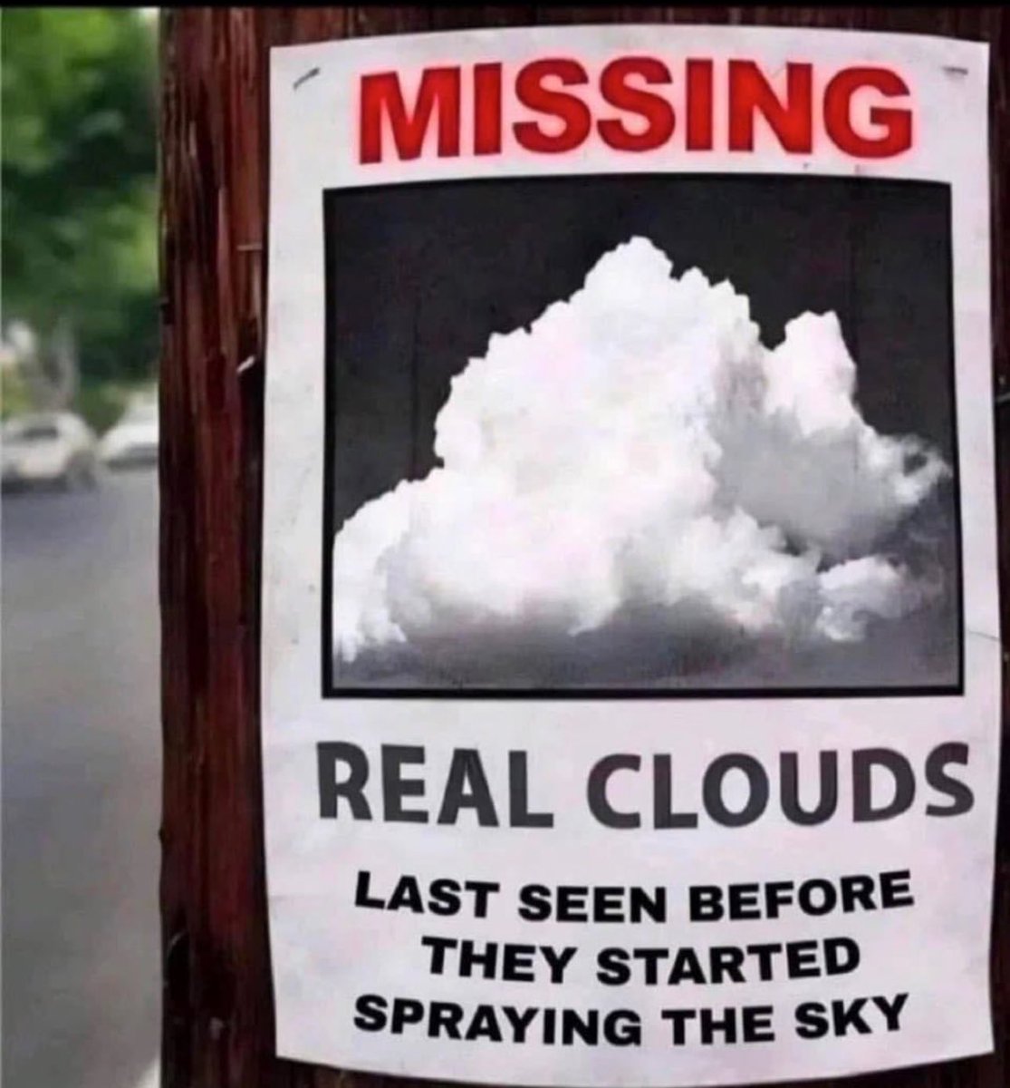 Anyone seen a natural cloud recently?