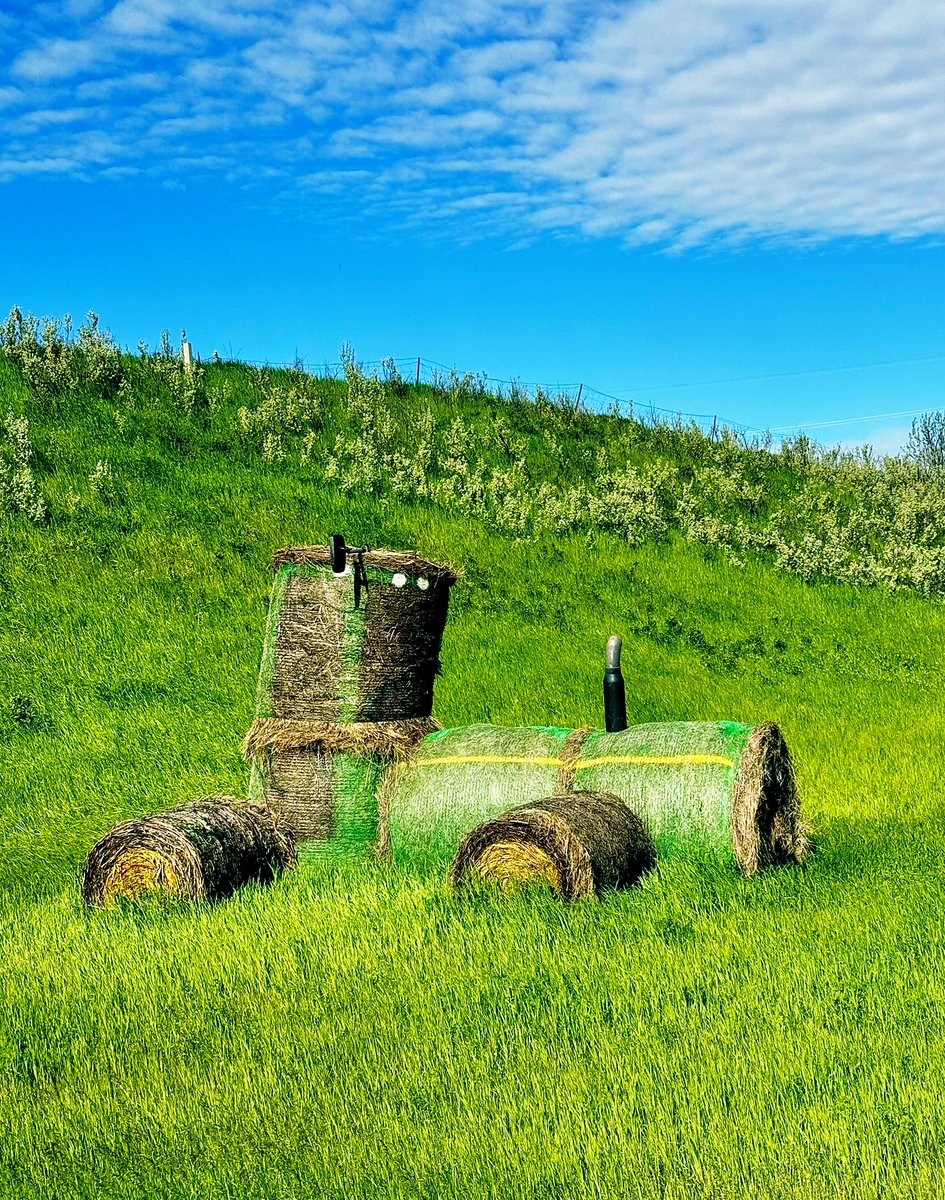 DMiller52325459's tweet photo. QP/share whatever you like for  #WhateverWednesday 

organic tractor https://t.co/iNGNBoHgqj