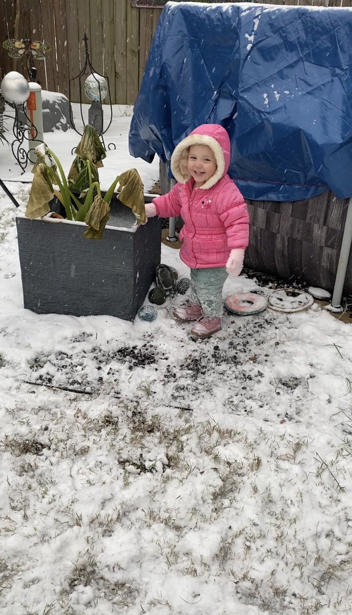 Mahanay Library tweet media