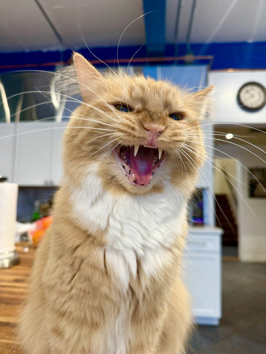 Greta Van Susteren tweet media