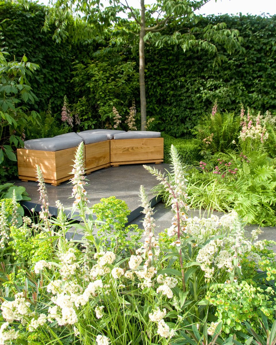 🌟 Eindeloos genieten met vaste planten. Wist je dat vaste planten vaak tientallen jaren meegaan? Een slimme investering die je tuin elk jaar mooier maakt. Welke plant staat al jaren te stralen in jouw tuin? 🌼im.nu/76BA7T#GroeneI… #VastePlantenPlezier #DuurzaamTuinieren