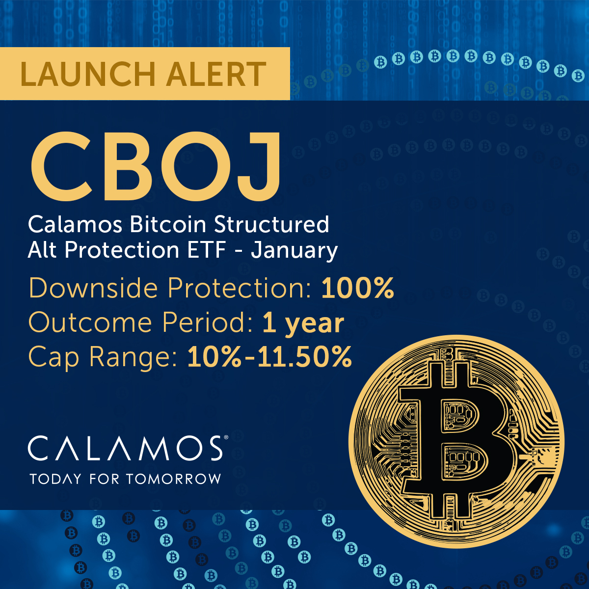 𝗝𝗨𝗦𝗧 𝗗𝗥𝗢𝗣𝗣𝗘𝗗: 100% downside protected Bitcoin ETF, $CBOJ (over  one year), with a 10%-11.50% upside cap range. https://t.co/ejaGVhNNFD