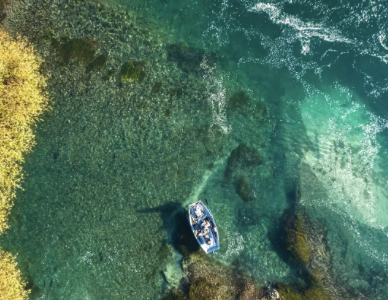 flyfishingshow's tweet photo. An Unforgettable Adventure Awaits! 
Attendees of any of seven upcoming shows will have the chance to win a 4-night, 3-day fishing trip for two at River House Lodge. https://t.co/NJbmC42ij9