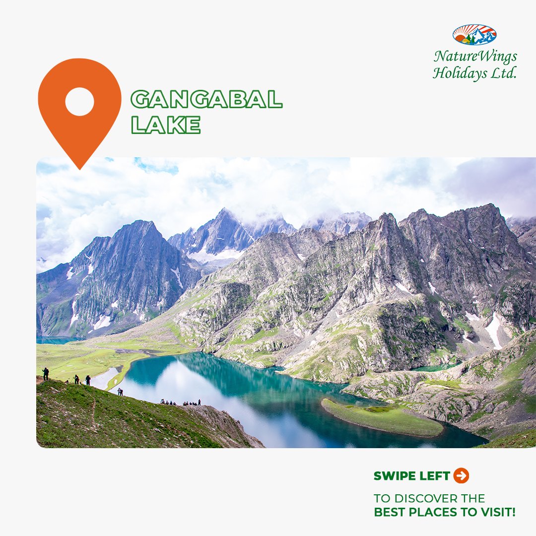 NatureWings's tweet photo. From its pristine landscapes to its timeless charm, Kashmir promises to leave you in awe.

Don’t just dream about it – make it a reality! Book your 7N 8D Kashmir Tour Package today! Call +91 97485 52505

#NatureWings #Travel #Travelgram #Kashmir #KashmirTourism #KashmirTravel https://t.co/77naaQWVQo