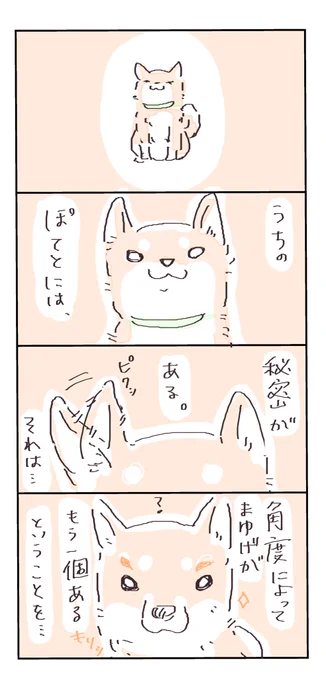 #4コマ漫画  #柴犬 #日常 