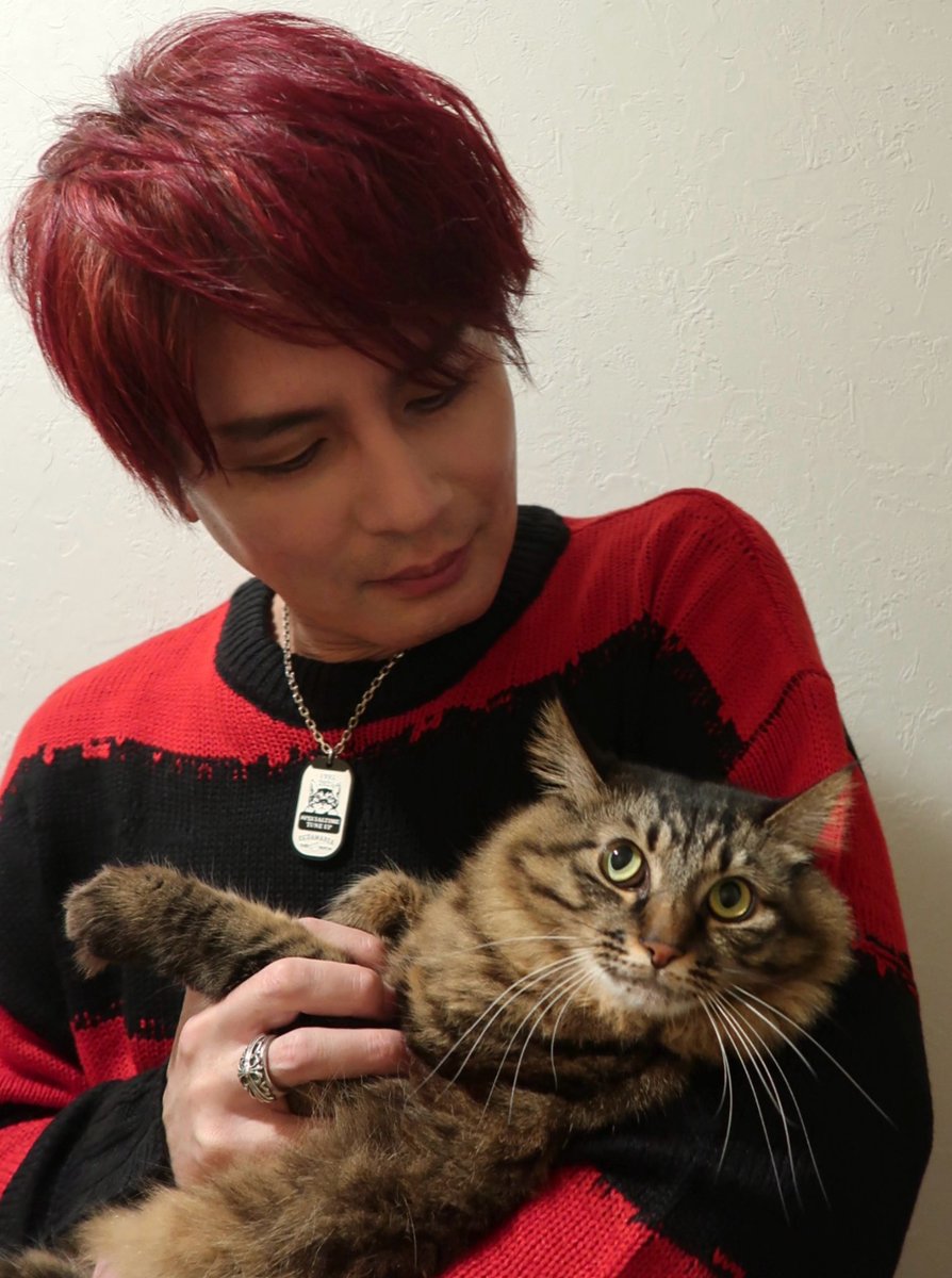 kuroyanagi440's tweet photo. CAT TAGはネックレスにするとこんな感じ🐾 https://t.co/IaneWhPs4d