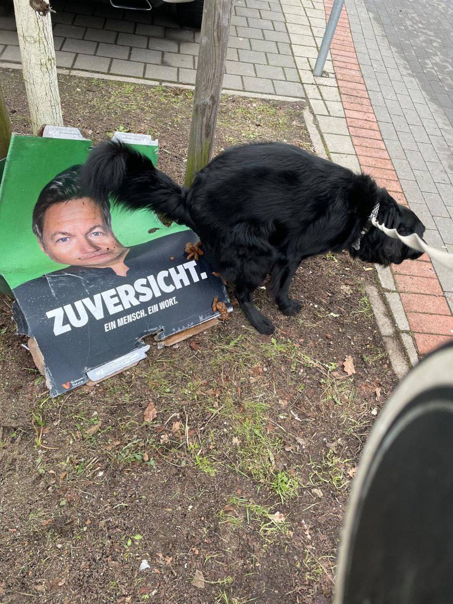 Ein Hund. Eine Tat. Zuversicht!

#Habeck #Schwachkopf