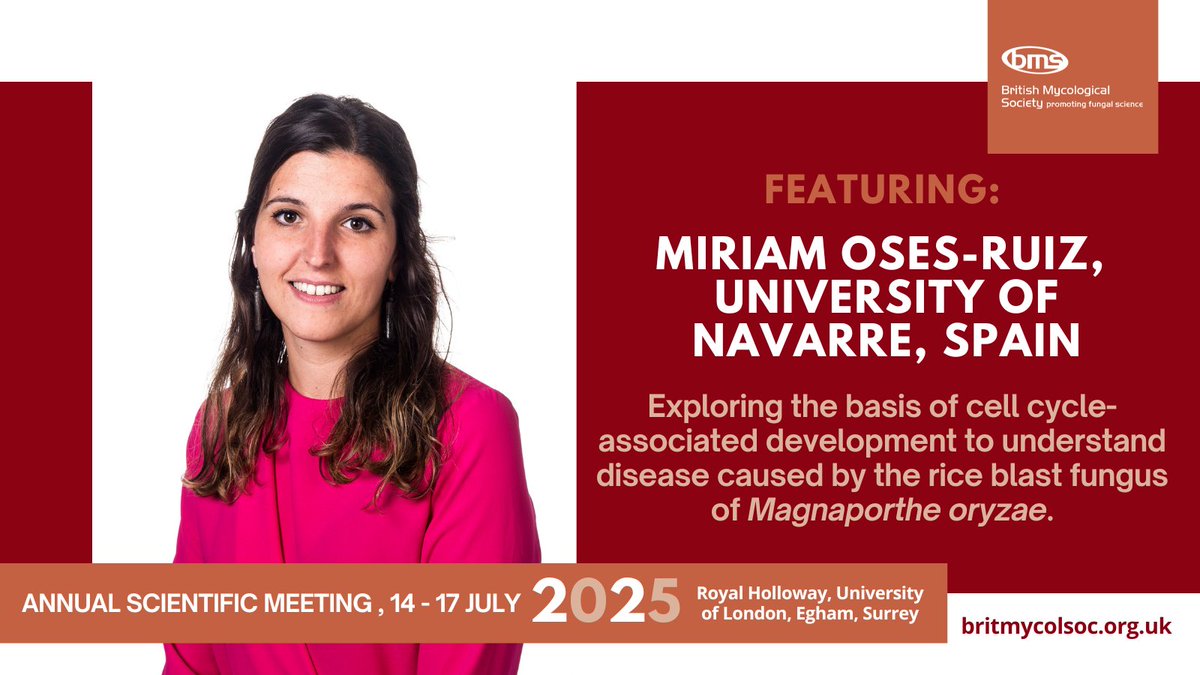 British Mycological Society (@britmycolsoc) on Twitter photo Come to the Annual Scientific Meeting where Miriam Oses-Ruiz <a href="/OsesMir/">Miriam Oses-Ruiz</a> will explain how the M. oryzae fungus causes disease that destroys enough rice to feed 60 million people! Have some research of your own to share? Submit your abstract by 28 February: britmycolsoc.org.uk Come to the Annual Scientific Meeting where Miriam Oses-Ruiz <a href="/OsesMir/">Miriam Oses-Ruiz</a> will explain how the M. oryzae fungus causes disease that destroys enough rice to feed 60 million people! Have some research of your own to share? Submit your abstract by 28 February: britmycolsoc.org.uk