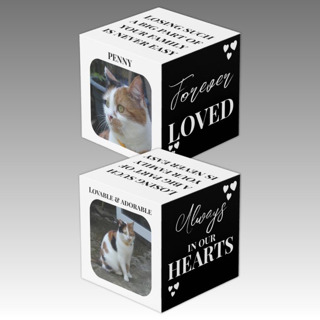 LynnroseDesign's tweet photo. https://t.co/U0dNmxjuH3
#photocube https://t.co/4YrdsK874F