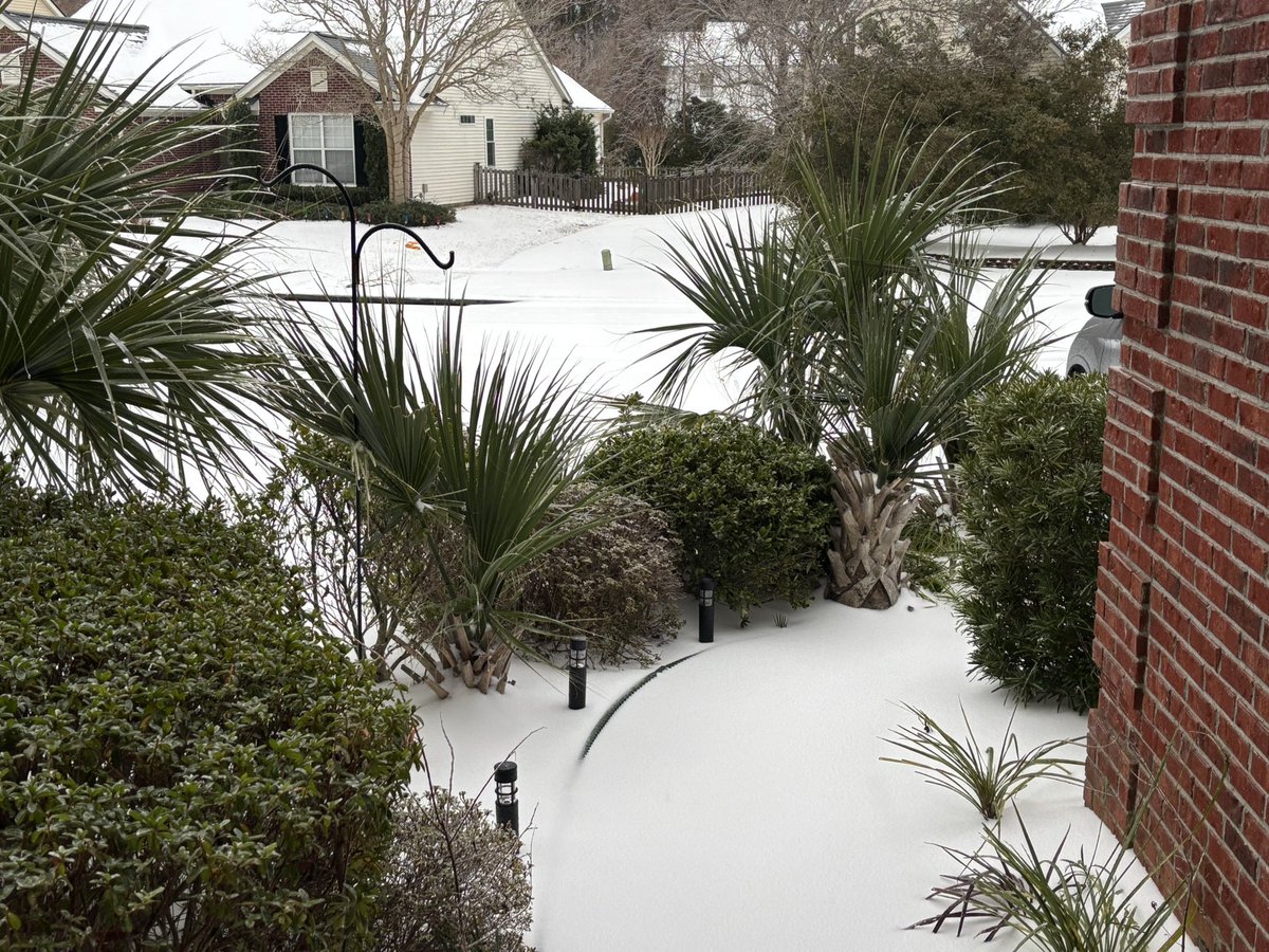ProfMulugeta's tweet image. It is actually snow - pictures from this morning in both our front &amp;amp; backyard!
#GotSnow 
#SnowInCharleston
#ClimateChange