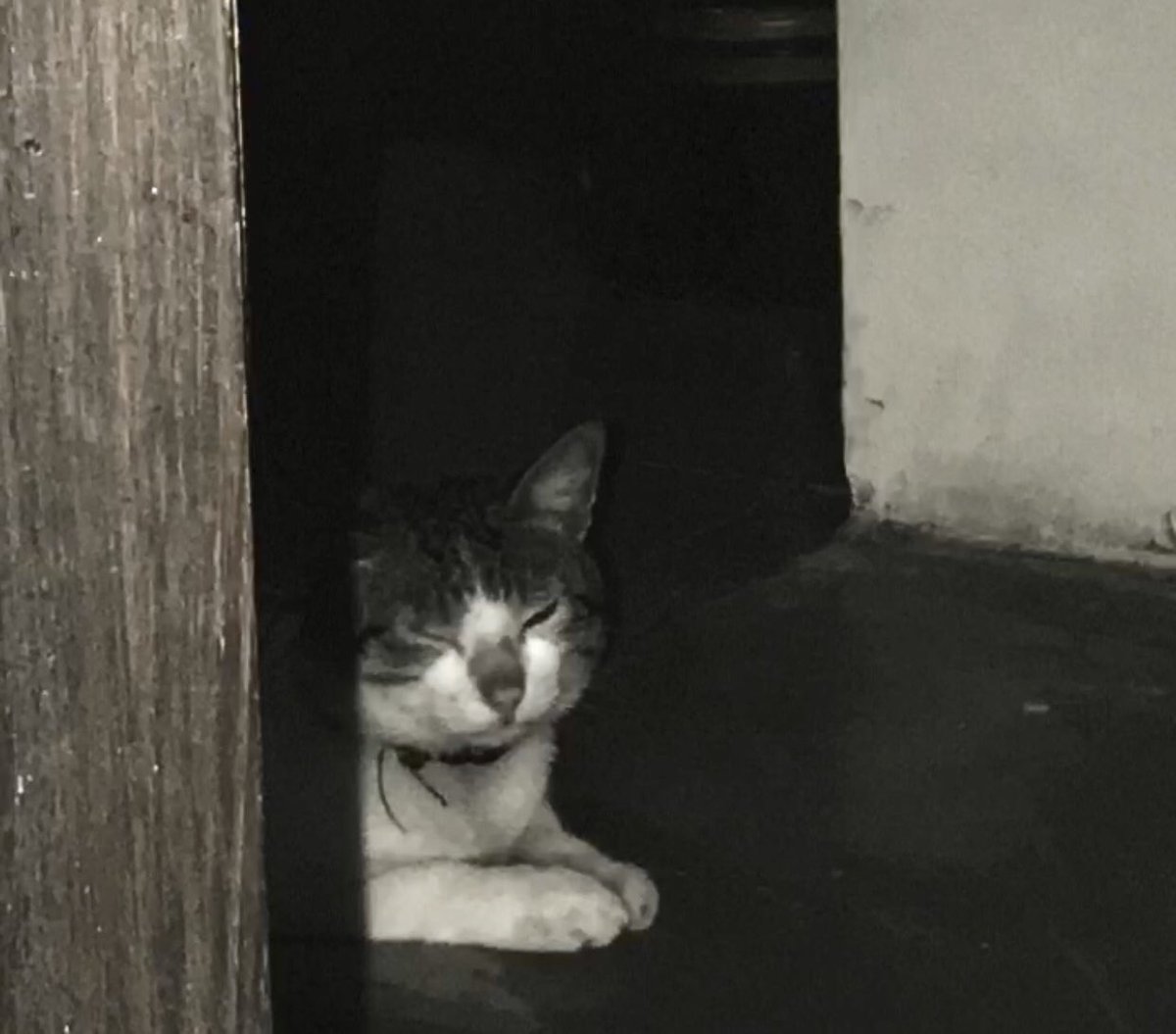 I will always miss u, hoshi❤️