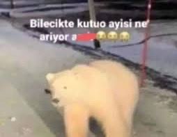 arsim_et's tweet photo. Babam için göğüs hast.  servisine gitmiştim bi anda profların doçların olduğu vaka toplantısının içinde buldum kendimi. Şu şekil kendimizi sorguladık https://t.co/Nmu9AOYkQF