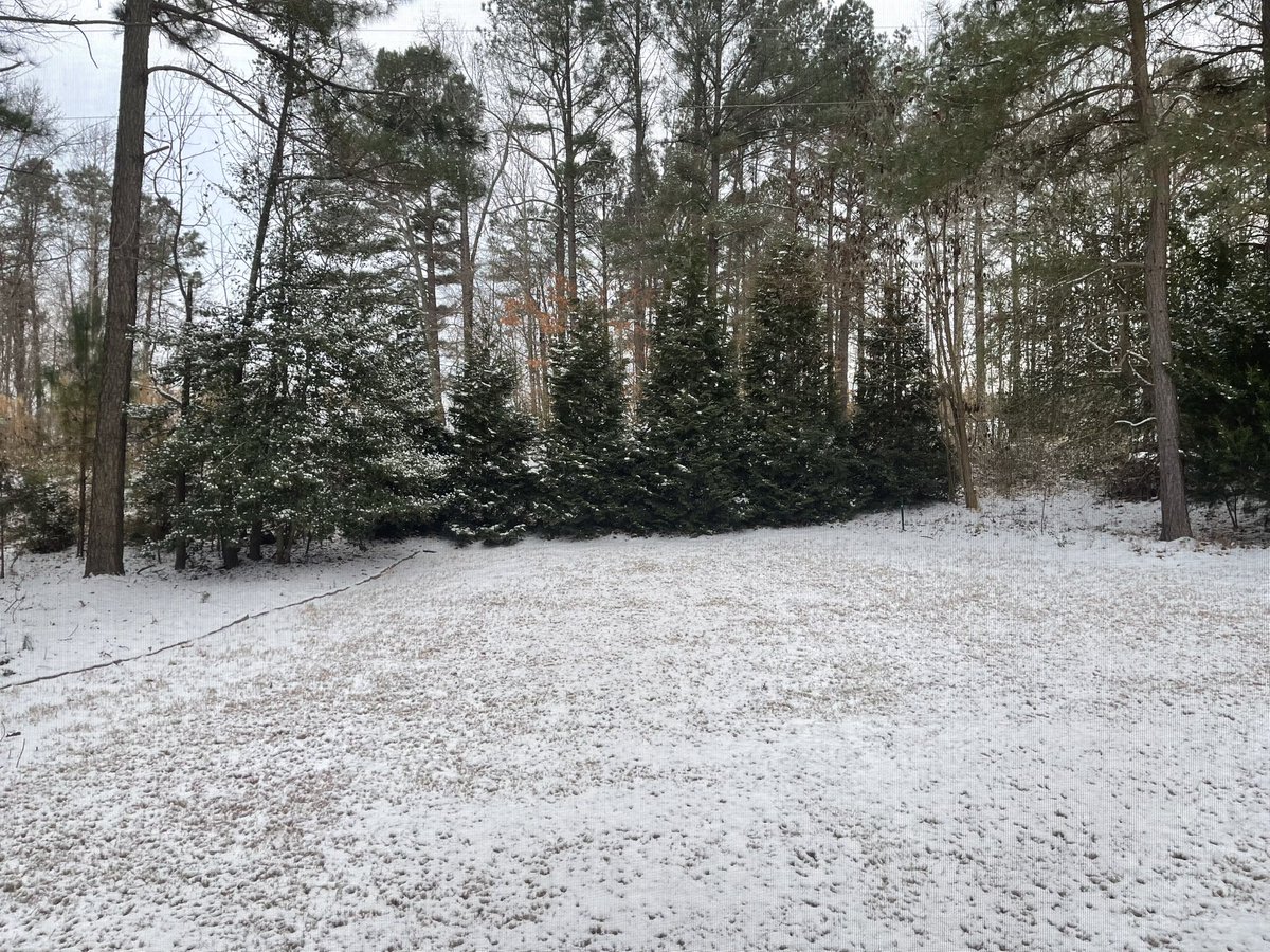 Almost never get to see this when we wake up in NC.