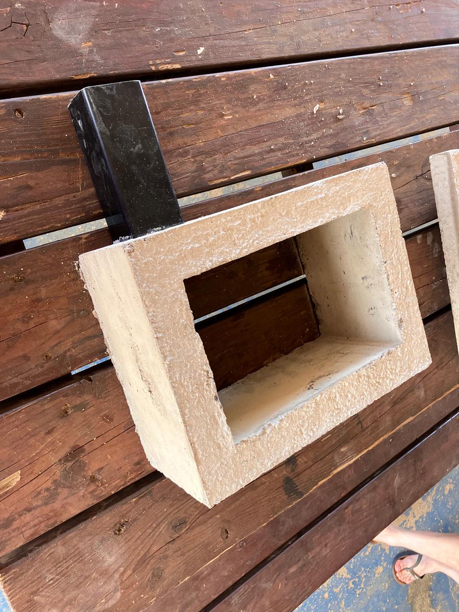 Ascension Conservation tweet media