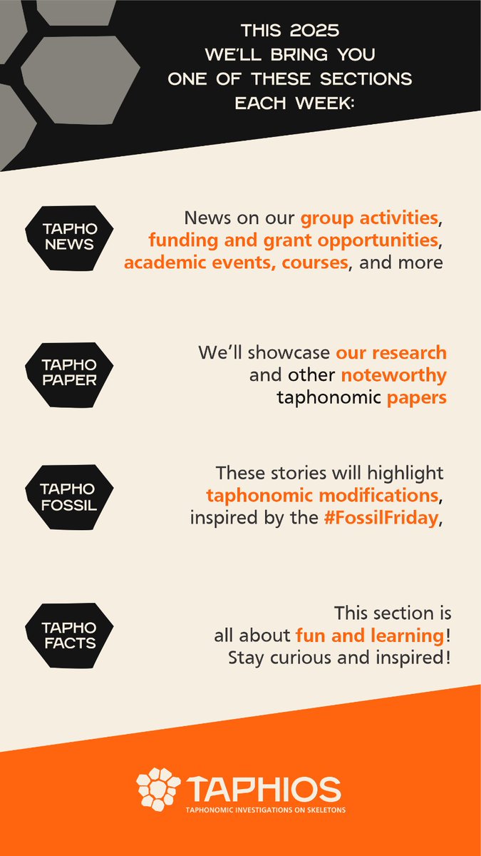Exciting news! 🎉 We're launching 4 sections to explore the fascinating world of taphonomy:
📄Tapho Paper – Research highlights
📰Tapho News – Updates &amp; opportunities
🦴Tapho Fossil – Fossil modifications
❓️Tapho Facts – Fun facts &amp; quizzes
Follow us! 🔬✨ #Taphonomy #Science