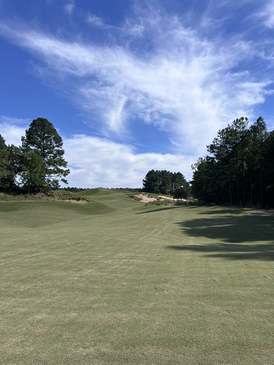 Russell Todd tweet media