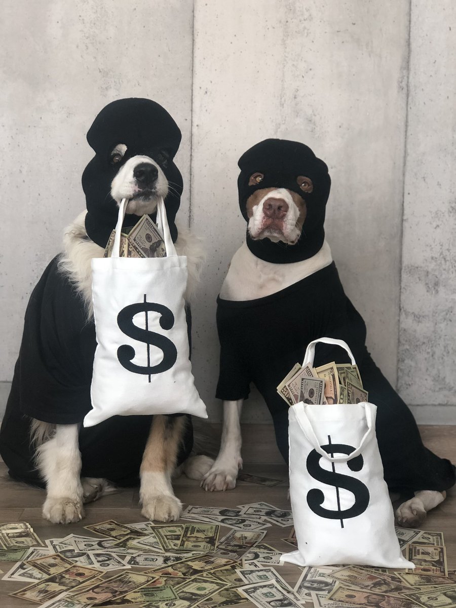 Ellos también son parte de la familia. 

El presidente @DanielNoboaok anunció que, a partir del 1/Febrero, se elimina el IVA al alimento para mascotas para aliviar el bolsillo de las familias ecuatorianas y a favor del bienestar animal.

Adivina de qué están disfrazados en la