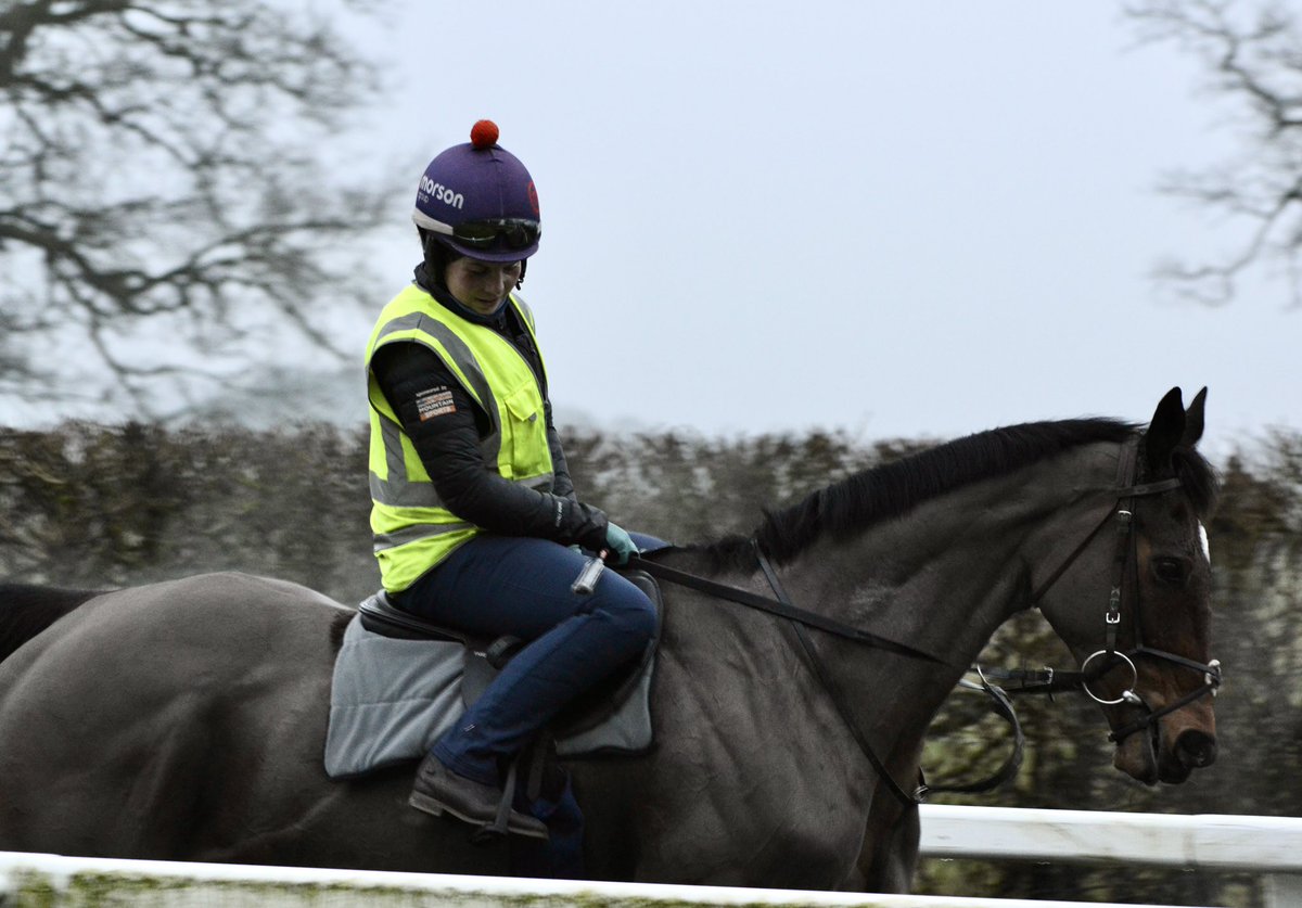 This morning, Stage Star (Cotswold Chase) completed his last piece of work beside Monmiral (Cleeve Hurdle) before they both head to <a href="/CheltenhamRaces/">CheltenhamRacecourse</a> trials day on Saturday. <a href="/PFNicholls/">Paul Nicholls OBE</a> is looking forward to stepping up in trip with Stage Star, so let’s hope he can return to form