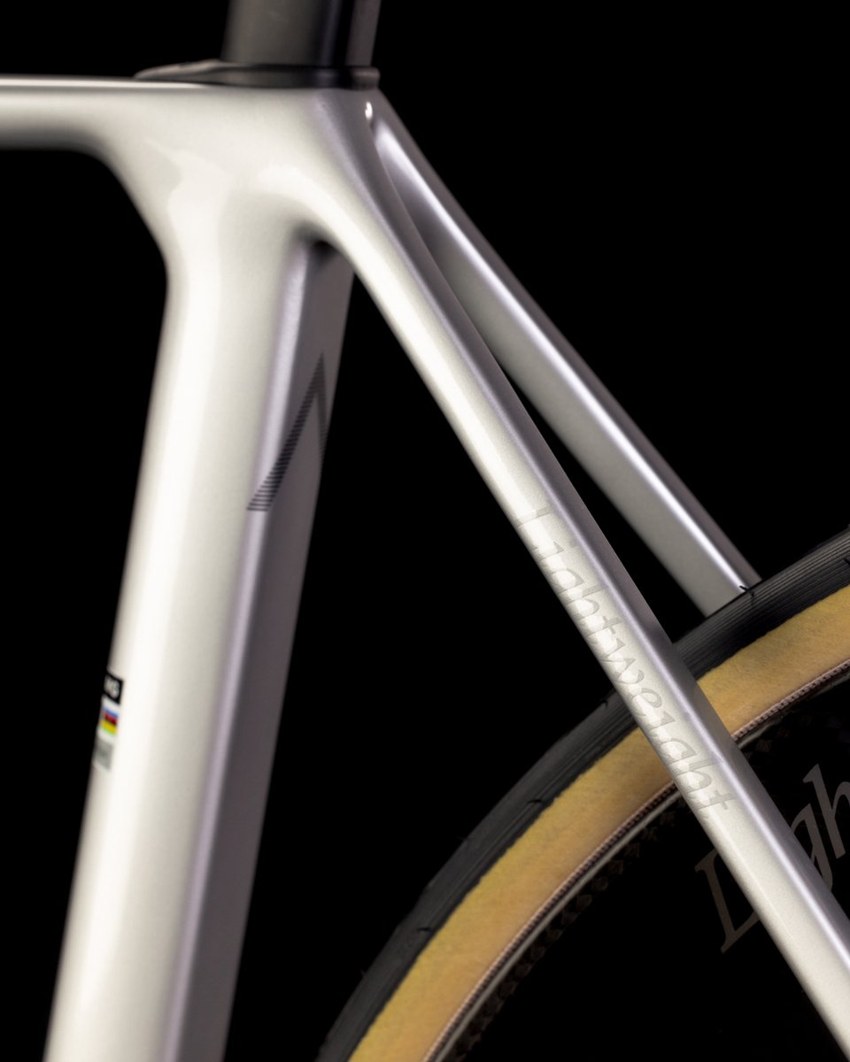 AurumBikes's tweet photo. Unique details for an exclusive bike.

A metallic silver inspired by German cars of the 1960s.

#AURUMxLightweight #RideLightweight #BornFromExperience #VittoriaTires https://t.co/hYXfOO490r