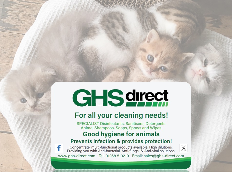 GHS Direct 🌱 Ⓥ 💚 tweet media