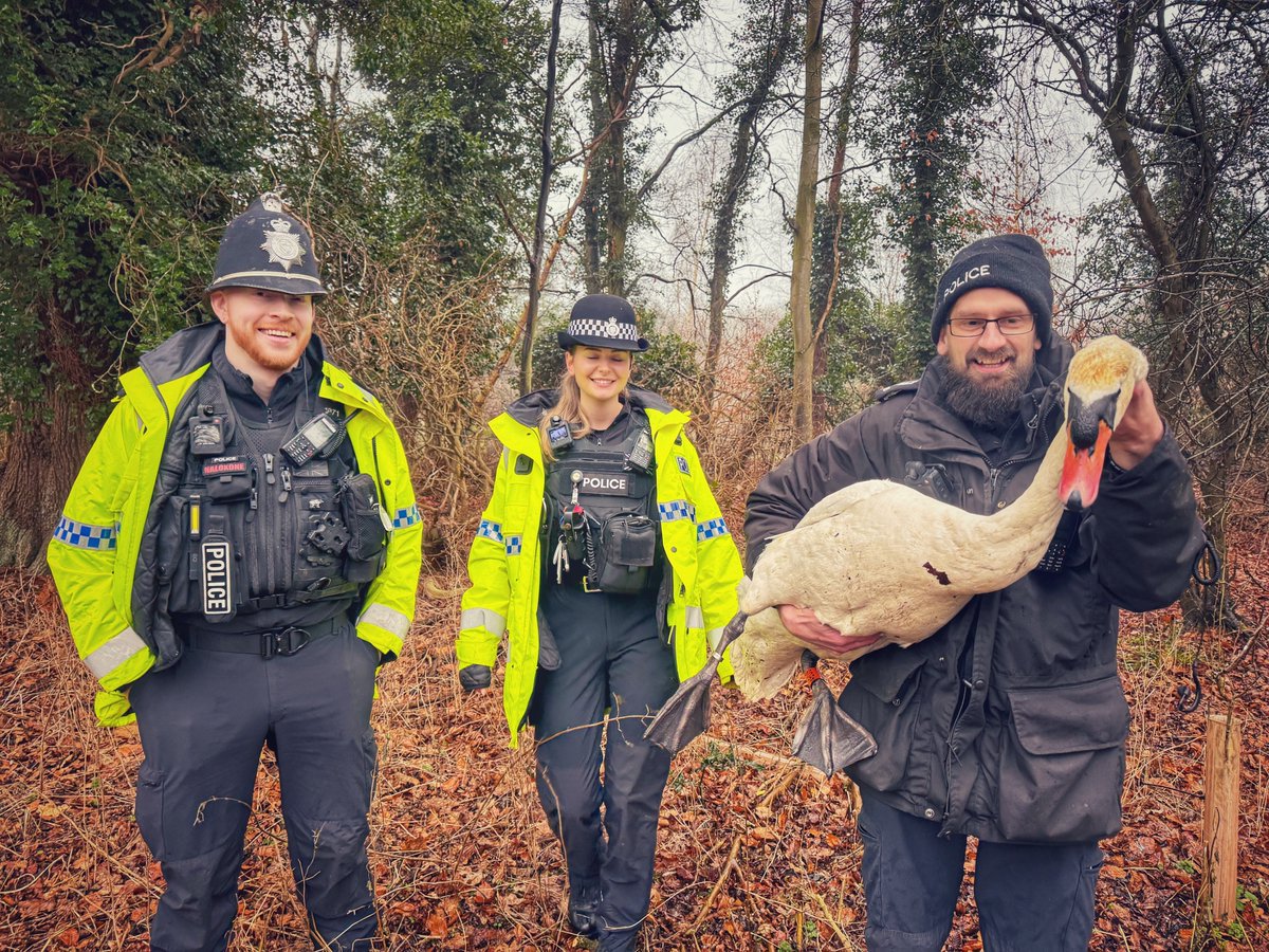#SwanRescue #Keepingtheroadssafe #HotFuzz