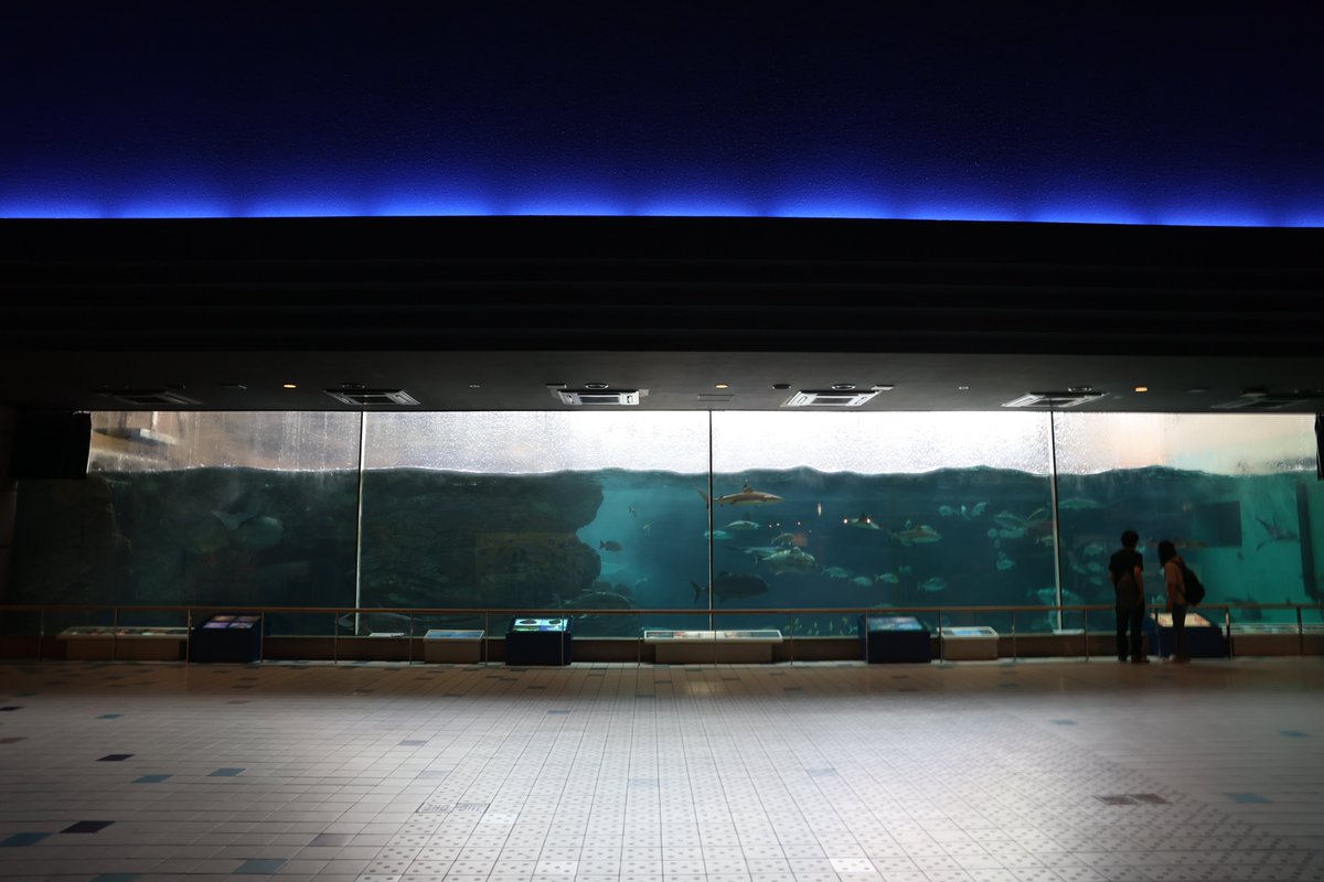 【須磨海浜水族園】
波の大水槽