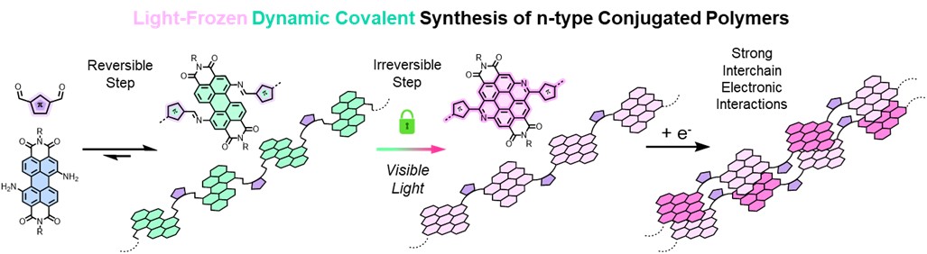 Antoine Goujon (@antoinegoujon1) on Twitter photo There will be less and less posting from us here on X in the future, but here is our latest preprint on the light-frozen dynamic covalent polymerization of BACDs: doi.org/10.26434/chemr…. Huge congrats to <a href="/AdeleGapin/">Adèle Gapin</a>, <a href="/elarbichatir/">Elarbi Chatir</a>, and all collaborators! 1/3 There will be less and less posting from us here on X in the future, but here is our latest preprint on the light-frozen dynamic covalent polymerization of BACDs: doi.org/10.26434/chemr…. Huge congrats to <a href="/AdeleGapin/">Adèle Gapin</a>, <a href="/elarbichatir/">Elarbi Chatir</a>, and all collaborators! 1/3