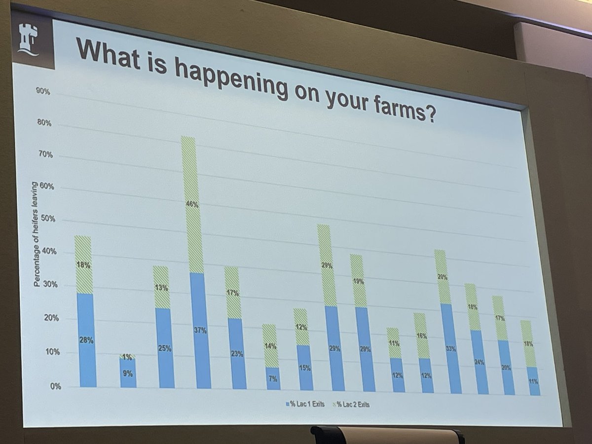CattleBreeders's tweet photo. Why why why?!! You need to know why heifers on your farm and exiting the herd prematurely says @GinnySherwin #BCBC25 #teamdairy https://t.co/D7c1ThZutj