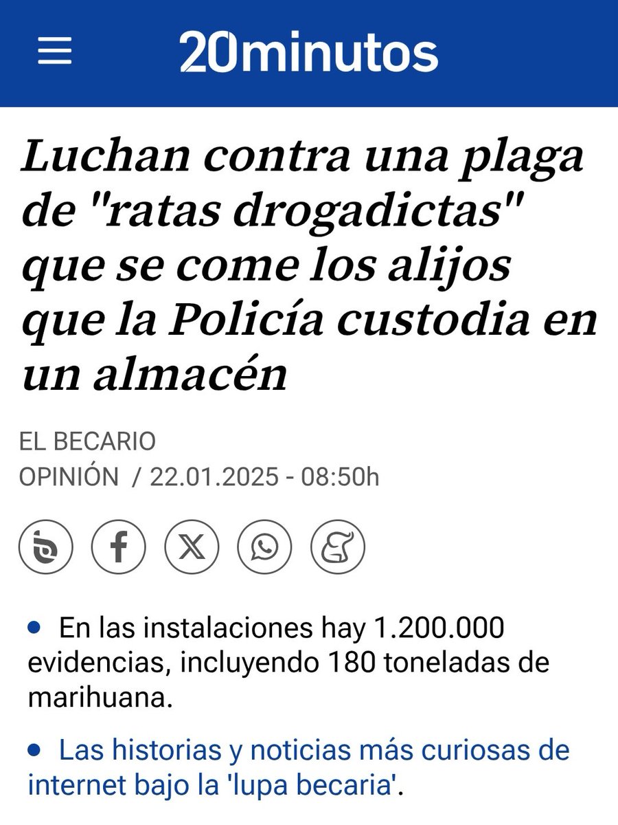 MatarAlpelicano tweet media