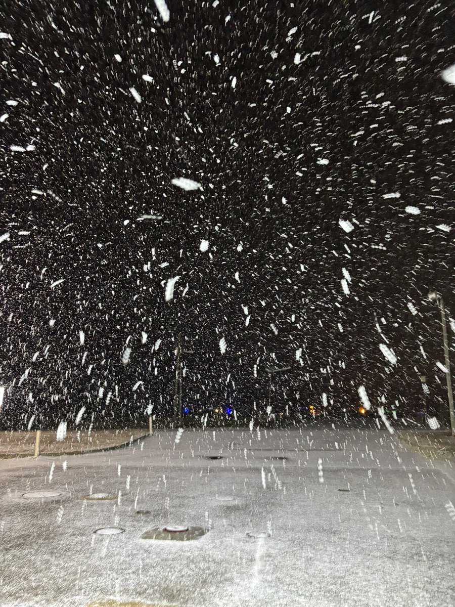 Weather1855015's tweet photo. @tropicalupdate We drove up to Valdosta from Jacksonville to catch pictures of massive flakes! https://t.co/CYAFXWMfMt