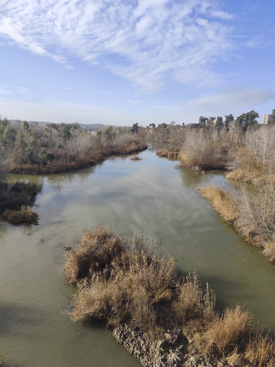 Elio301277's tweet image. De paseo por mi Córdoba 🥰 #yolovalgo #yanolloromas #positivo #valiente #fuerte #sisepuede #sisequieresepuede #amor #desamor #lavidaesbella #frasesmotivadoras #frasesdeamor #frasesdelavida #Córdoba #Andalucía #España #instagram #Facebook #tiktok #Twitter