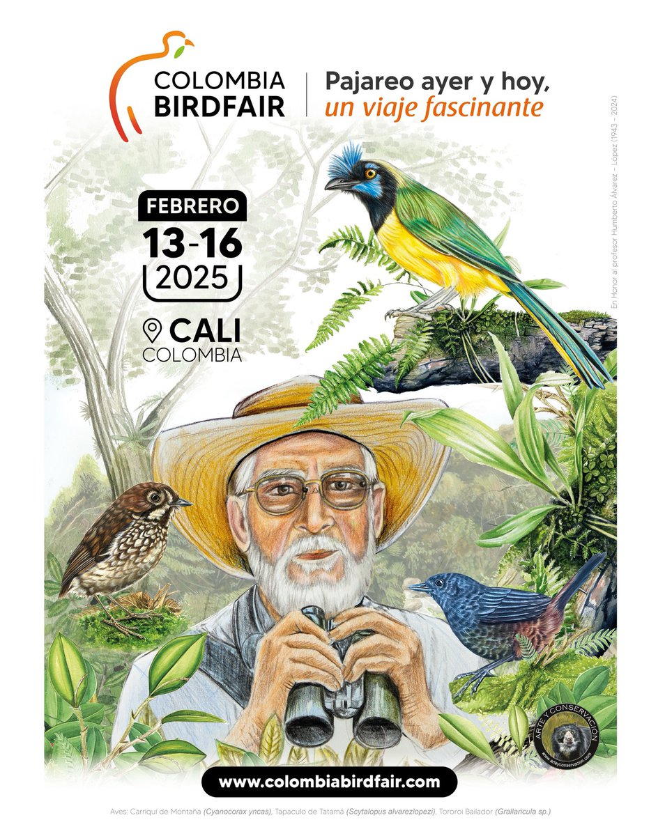 Afiche Oficial Colombia Birdfair 2025 - Pajareo ayer y hoy, un viaje fascinante. 🙌🏼
Un trabajo maravilloso realizado por <a href="/ArteyConservaci/">Emmanuel Laverde</a>, en honor del Profesor Humberto Álvarez López (1943-2024).