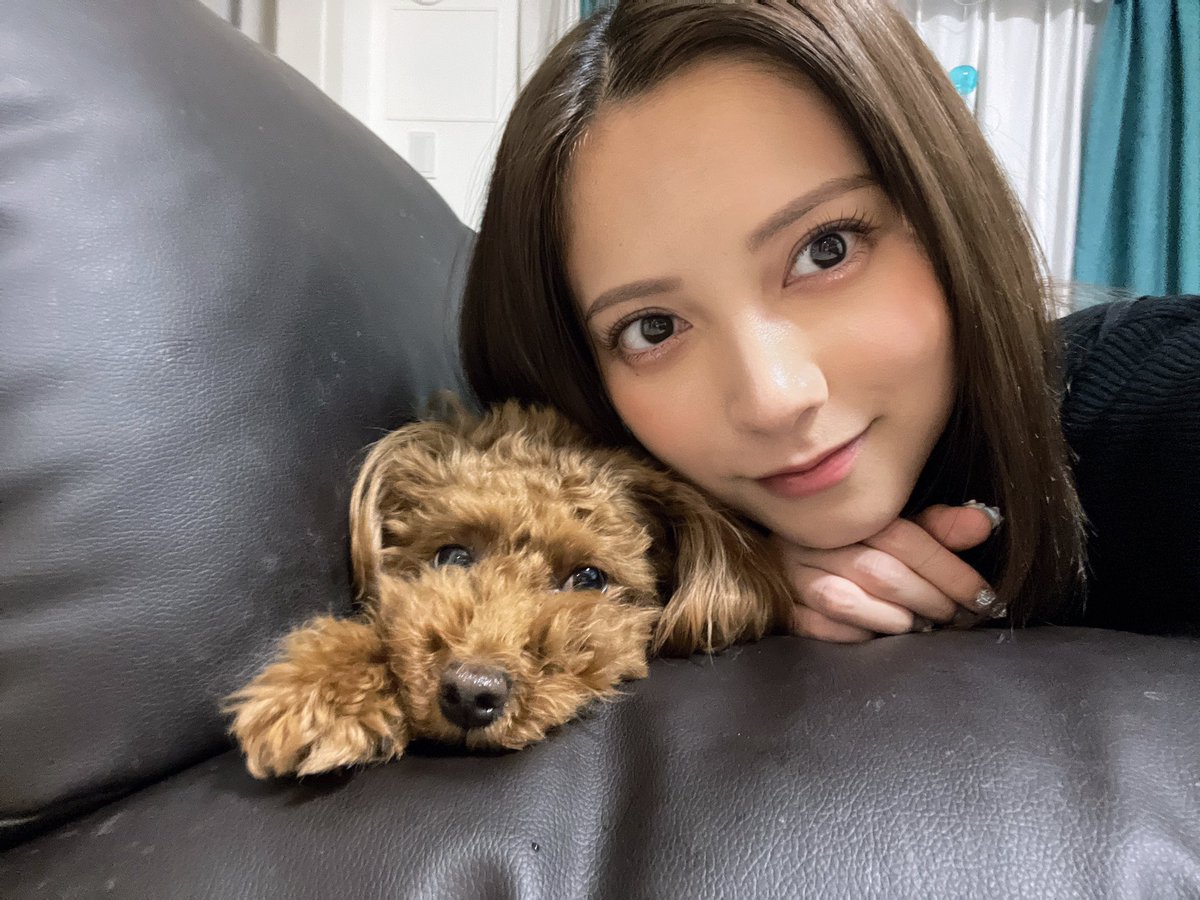 nashiko_cos's tweet photo. 今日はデコ出し〜
犬、もふくて目見えん トリミング連れてかないとね https://t.co/1qIkU3nwq8