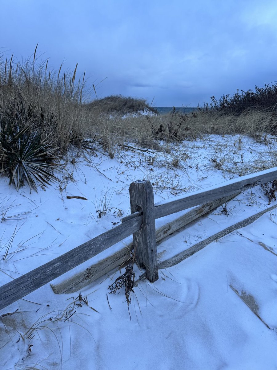 Snunes or dunow? Anyway, hard to beat snow in the dunes of Cape Cod.

#BallstonBeach 
#Truro