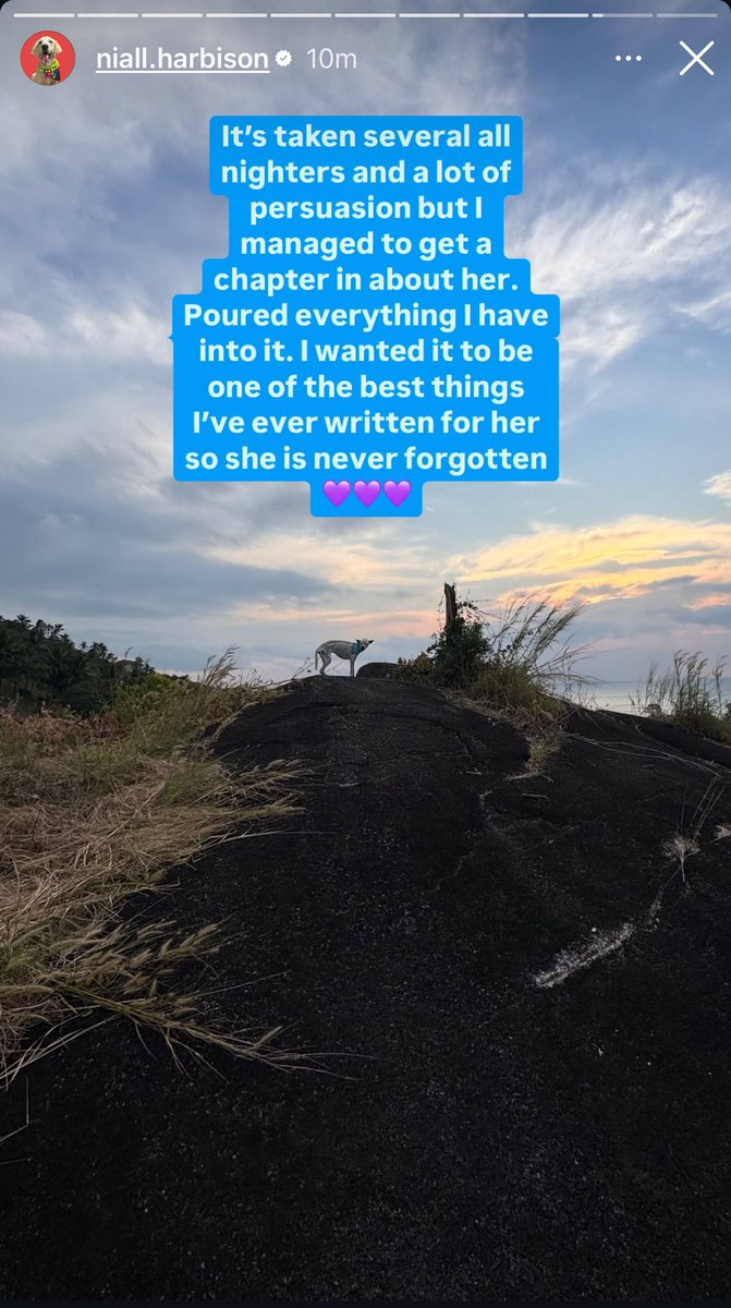 MonaWysiwyg's tweet image. #Alba #HappyDoggo