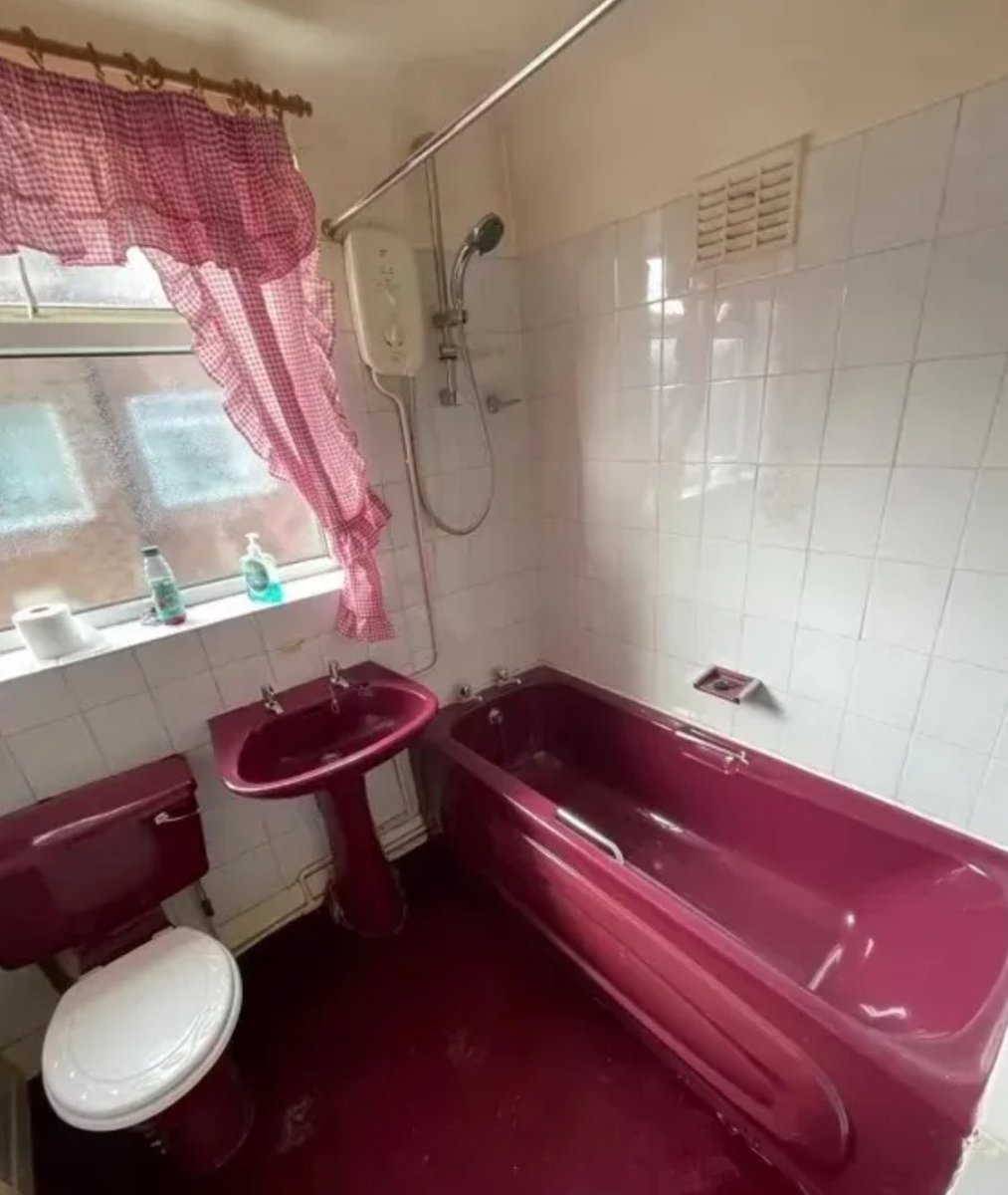 Kelly Donegan tweet media