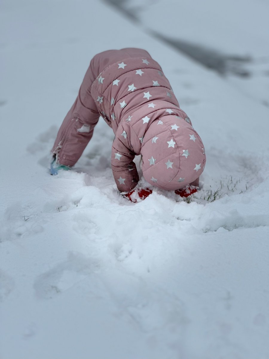 Emma B. Holliday MD (@dremmaholliday) on Twitter photo Current mood- trying to entertain 4 kids at home while working remotely since Houston is 100% shut down bc of the snow & ice. Grateful for the <a href="/MDAndersonNews/">MD Anderson Cancer Center</a> ride out team (and wondering if maybe I should have volunteered to be part of it… 🙃) Current mood- trying to entertain 4 kids at home while working remotely since Houston is 100% shut down bc of the snow & ice. Grateful for the <a href="/MDAndersonNews/">MD Anderson Cancer Center</a> ride out team (and wondering if maybe I should have volunteered to be part of it… 🙃)