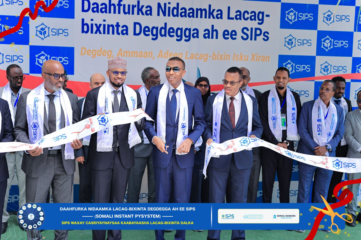 Somalia Payment Switch tweet media