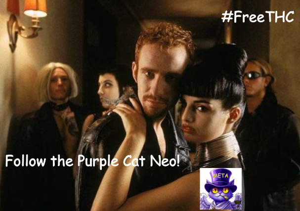 PhysicalMeta's tweet photo. Calling All Stoners!
Follow the Purple Cat @Top_Hat_Cat_
#FreeTHC coming to your town soon.
Keep your eyes open. https://t.co/VW2UmQjcAS