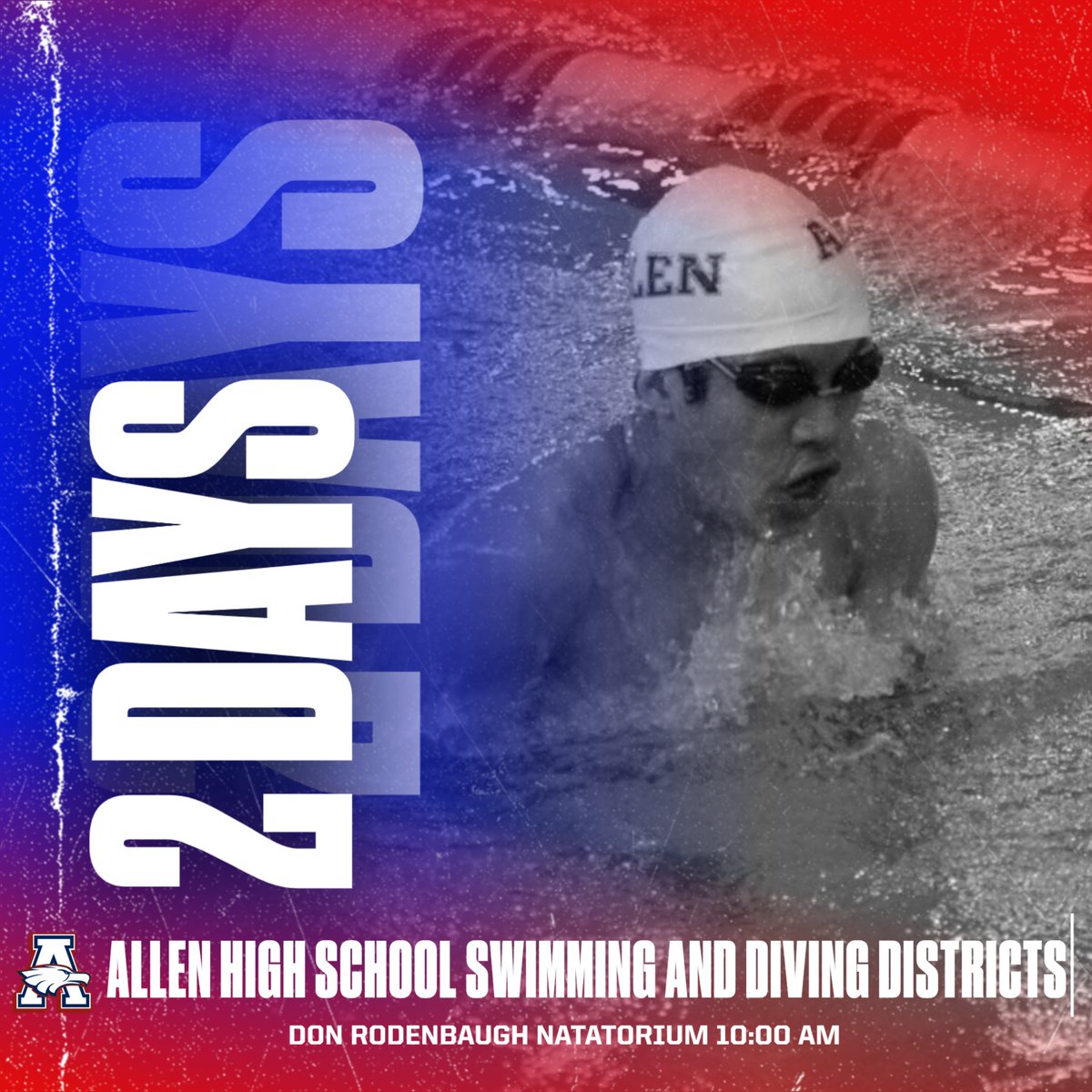 AHS Swim/Dive (@ahsswimdive) on Twitter photo 