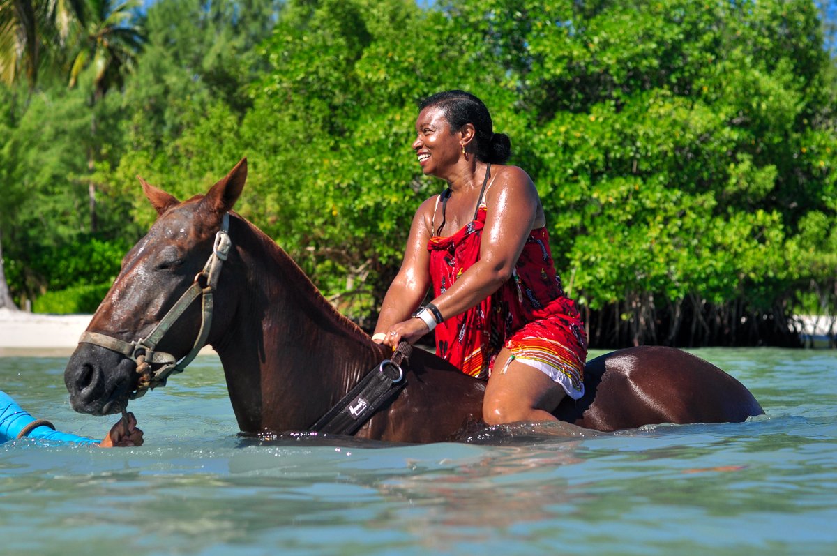 Looking for an unforgettable adventure in Punta Cana? 🌴✨ Saddle up and explore the breathtaking beauty of this tropical paradise with @swimhorsepuntacana. 🐎🌊 From serene beaches to hidden paths, every ride promises a unique and magical experience.