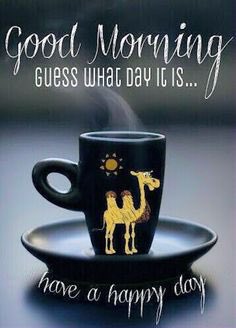 profstan72's tweet photo. @bamabree @jkittkat @JennAllen668 @Lynnnbama @tci92 @SusanReymann GM Crimson Ladies & H🅰️ppy Humpd🅰️y. #RTR19 🅰️☕️🅰️☕️🅰️☕️🅰️☕️🅰️☕️🅰️☕️🅰️☕️🅰️🤗🅰️❤️🅰️🏆🅰️💯🅰️🏈🅰️🏀🅰️🏊♀��🅰️🤸🅰️🥇🅰️🎾🅰️🐘🅰️😎🅰️🇺🇸🇮🇱🇺🇸🇮🇱🇺🇸
#NationalHotSauceDay
#StompTheCorndogs🏀
#RollTide https://t.co/RGQGImmd97