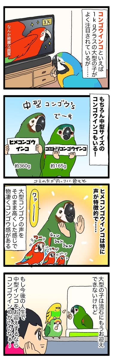おっきいコンゴウインコとちいちゃいコンゴウインコ🦜🦜

2015 #えるポピの絵日記かくところ 