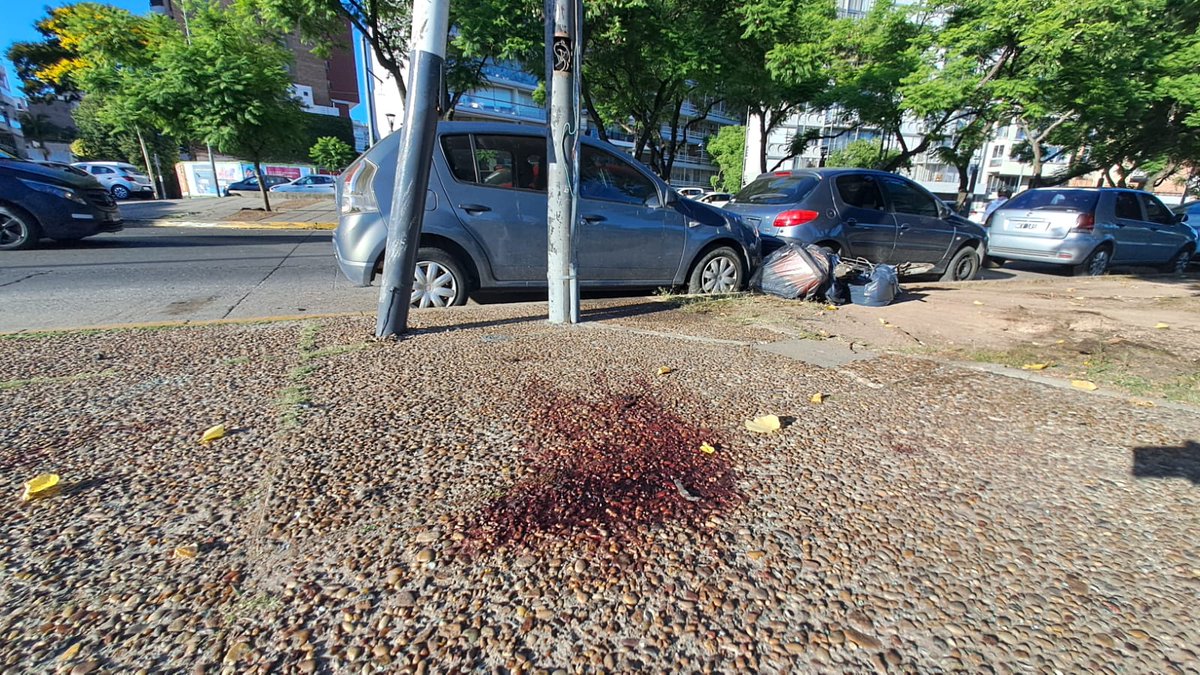 Rosario turística. Viene una familia de Córdoba. Dos idiotas, uno en auto, otro en moto, salen del túnel Illia haciendo picada a 120 km. Asesinan a una mamá y su hija que estaban de visita. Rosario, o te mata de un balazo o un asesino al volante. La política en su rosca.