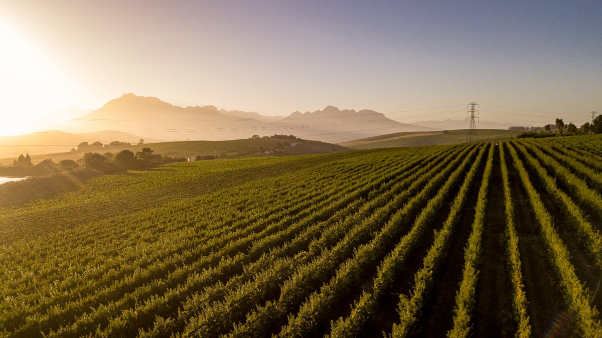 WineLandSA's tweet photo. Congratulations to @HartenbergWine for making history as SA's 1st wine farm, and only the 2nd worldwide, to achieve regenerative verification under the EOV framework.🌱🇿🇦 A true leader in sustainable viticulture.
#SAWine #SAWineSince1659 #WineLandMedia #WineLandMagazine https://t.co/8MlJ7t2oN4