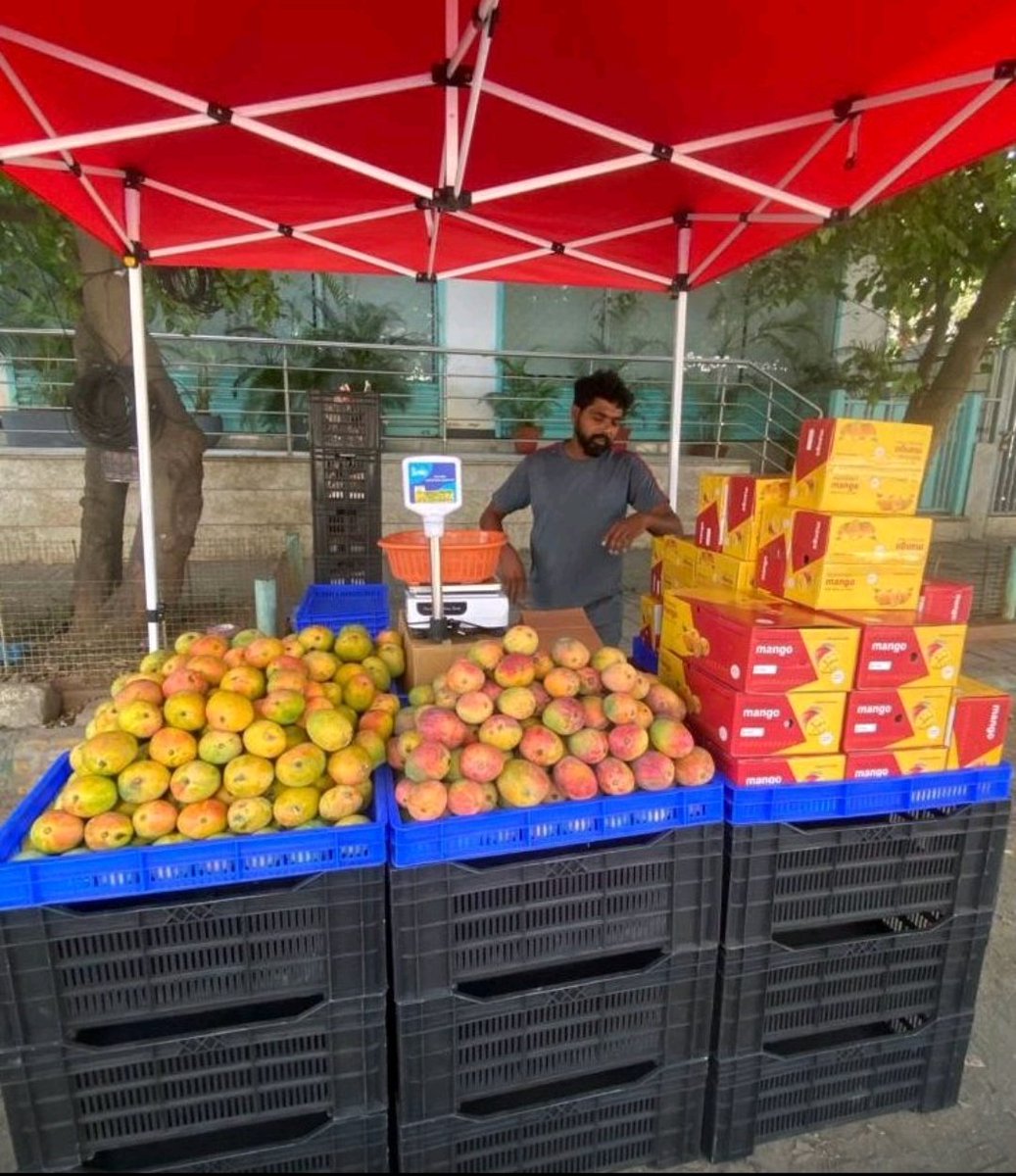 hsrlayoutbot's tweet photo. Folks at this FnV startup set up Fruit stalls around HSR layout and generated ₹15 lakh in revenue 💪. A few months back, @justswishin also started ops from here.

Fun fact: Rapido and Cult fit also piloted in HSR 😎 

@YourStoryCo @caleb_friesen  
https://t.co/6LxRv0FD1I https://t.co/J4iYLzl07Q